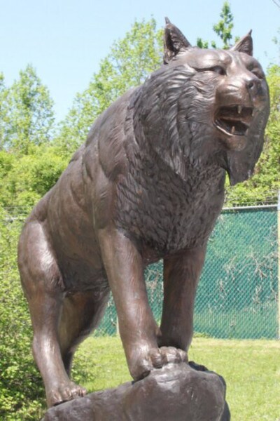 Bob Cat Bronze Sculpture